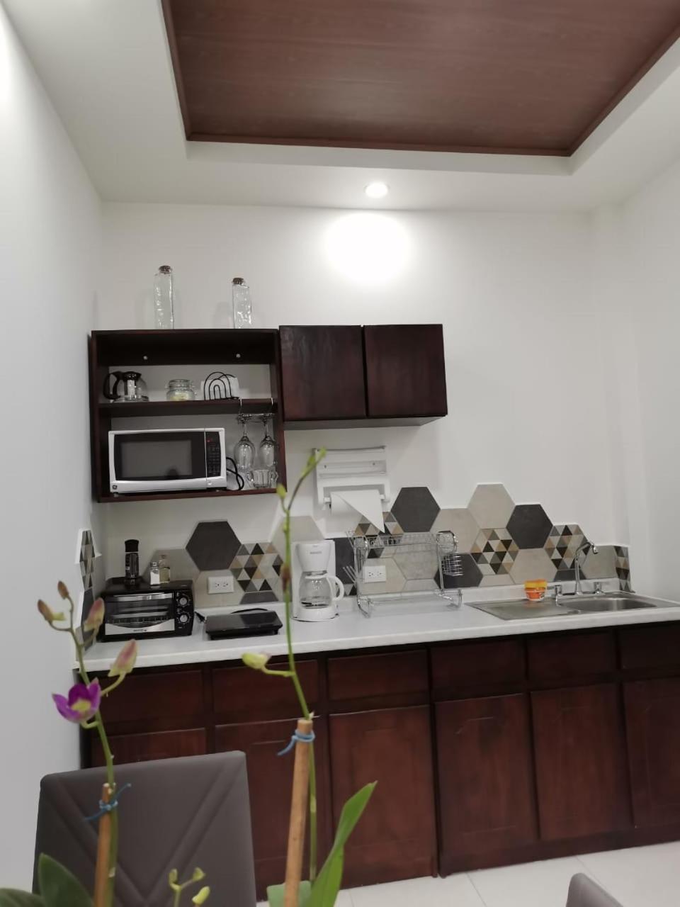 935 Lodge San Jose Ngoại thất bức ảnh