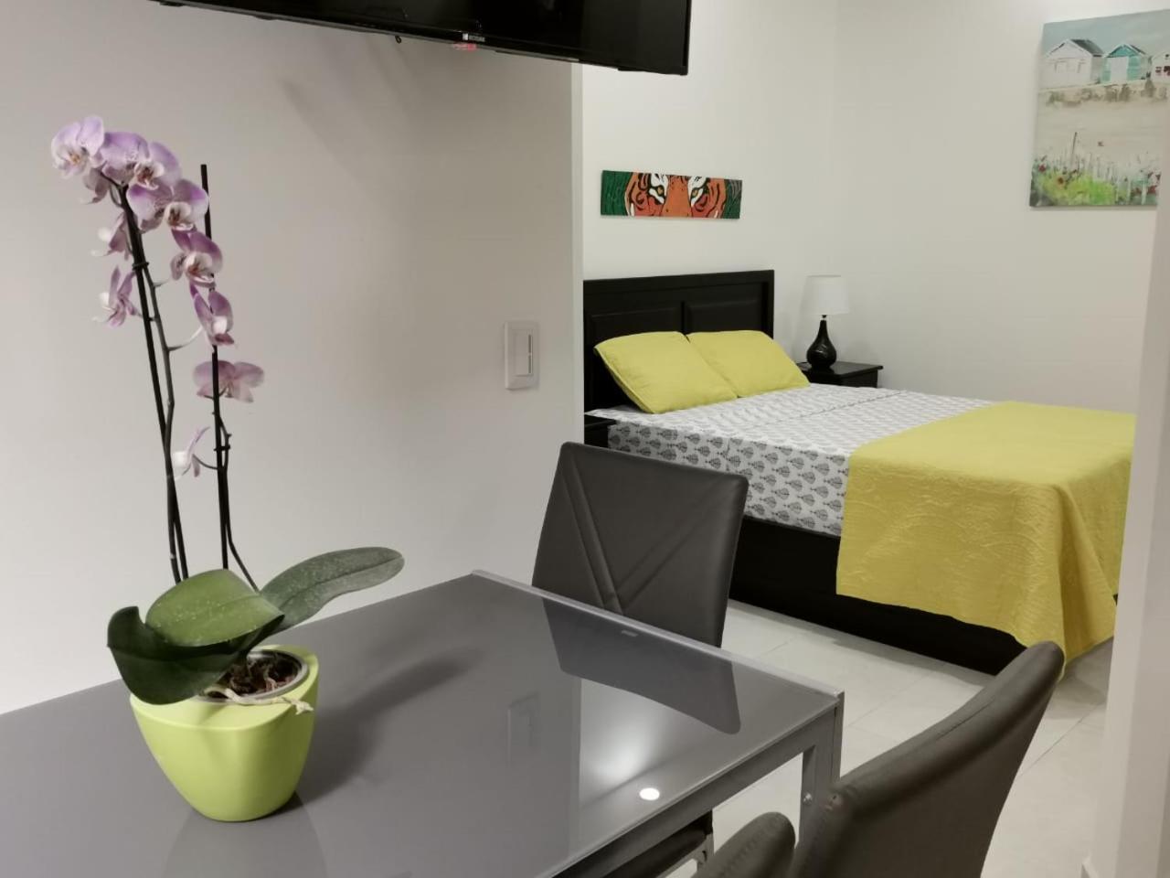 935 Lodge San Jose Ngoại thất bức ảnh